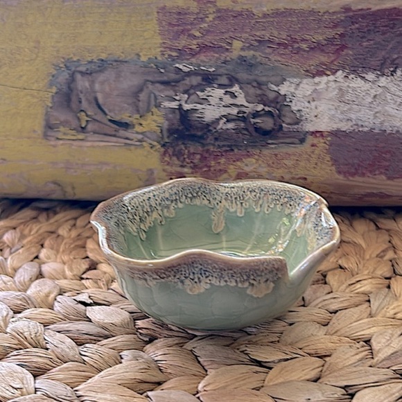 NEW Windowsill SUCCULENT 4" Anthropologie - Picture 7 of 13